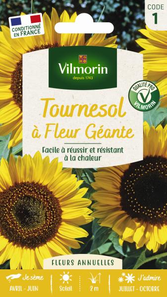 Fleurs - Tournesol à Fleur Géante - PACKAGING_RECTO